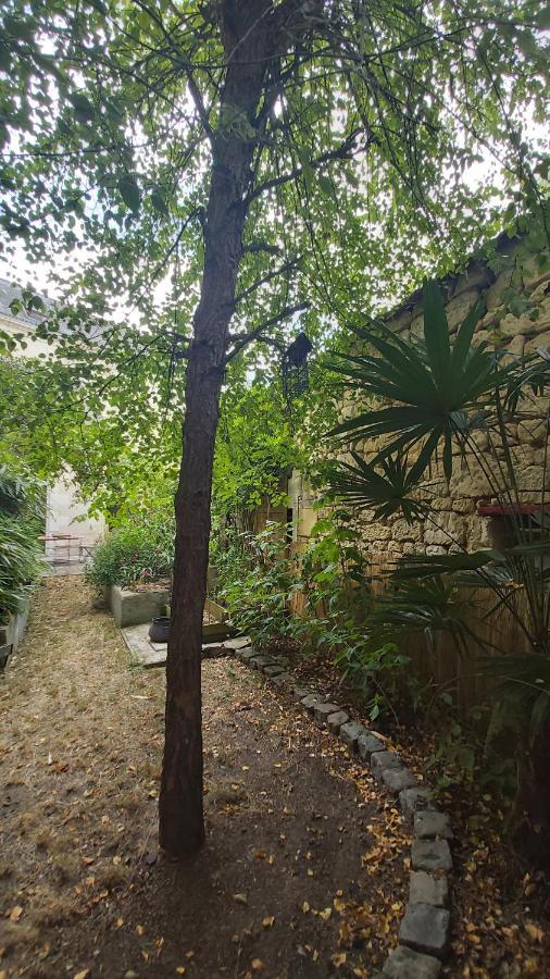 La Maison De Louise Chinon #Chateaux #Vignobles Екстер'єр фото