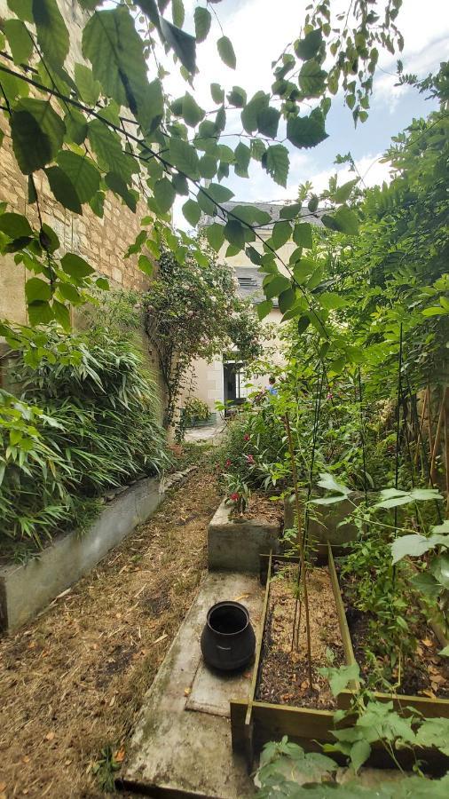 La Maison De Louise Chinon #Chateaux #Vignobles Екстер'єр фото